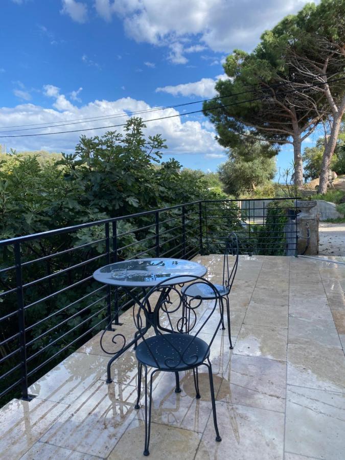 Home Sweet Home 2 Pieces 42 M2 Chambre, Salon, Cuisine, Grande Terrasse, Parking Proche Centre Ville Et Mer Bastia  Luaran gambar
